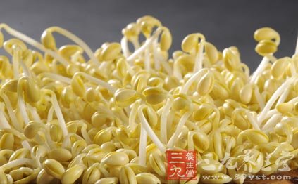 豆芽
