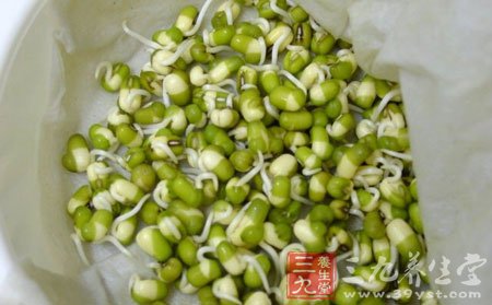 黄豆芽要比绿豆芽好发