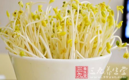 黄豆芽变绿是因为黄豆芽见了光