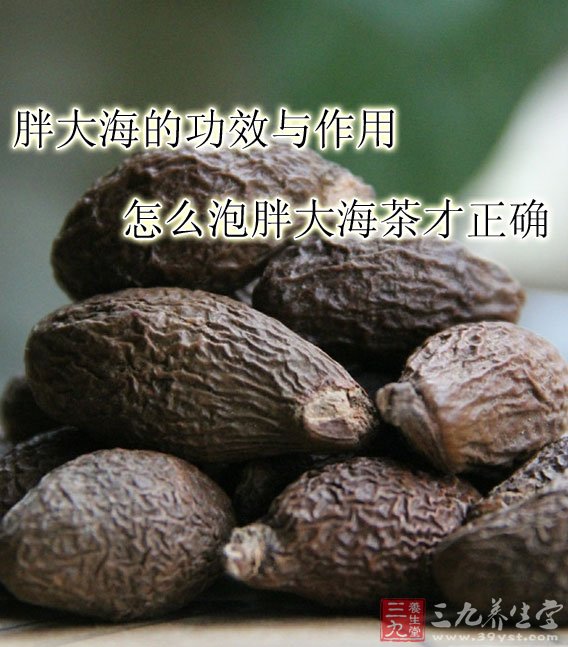 胖大海的功效与作用 怎么泡胖大海茶才正确