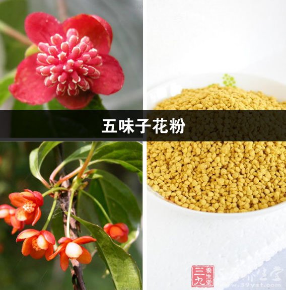 五味子花粉的功效與作用