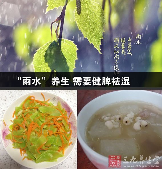 雨水养生湿气重健 雨水养生健脾祛湿健脾的食物健脾养"雨水"养生