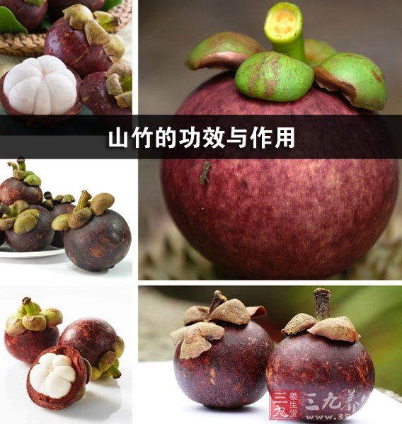 山竹的功效与作用-三九养生堂