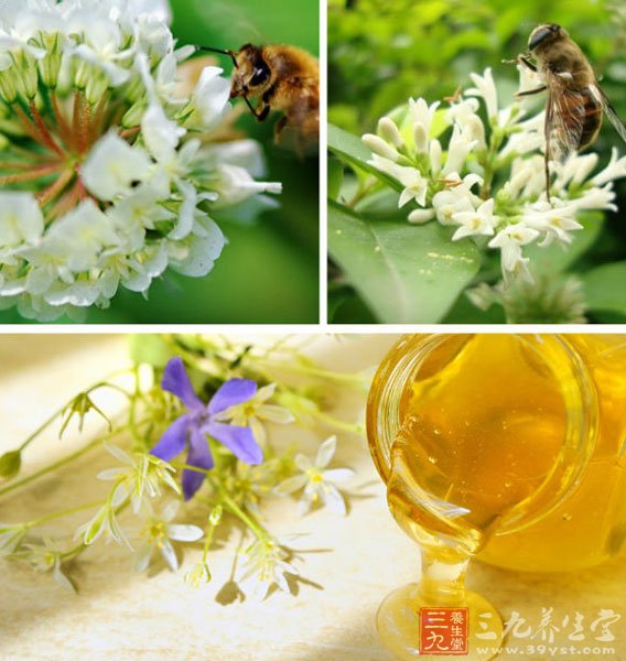 蜂蜜是一种营养丰富的天然滋养食品