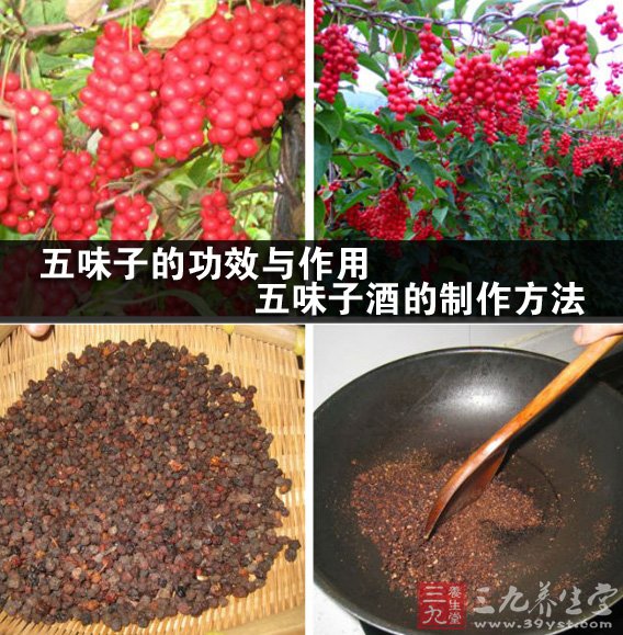 五味子的功效与作用 五味子酒的制作方法
