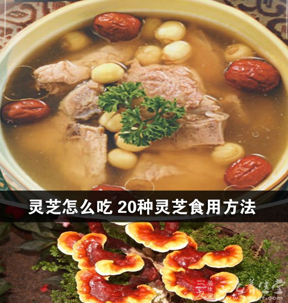 {灵芝如何食用}.