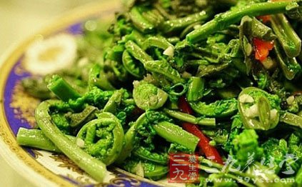 吃了就要命 10种没煮熟蔬菜含剧毒(9)