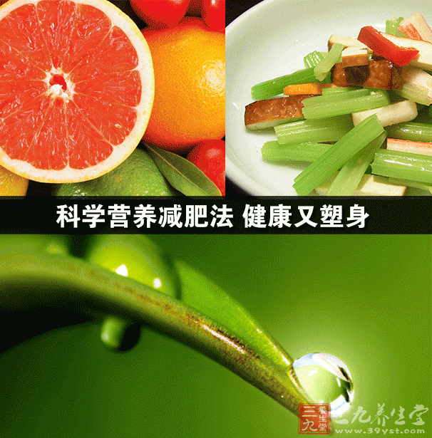 科学营养减肥法 健康又塑身-三九养生堂