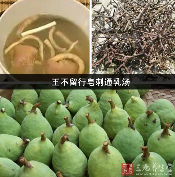 不少人都知道王不留行是种中药,王不留行有着催生下乳的功效,那王不留行皂刺通乳汤大家有听过吗?王不留行皂刺通乳汤的效果怎么样?王不留行除了催生下乳还有哪些作用与功效? 王不留行皂刺通乳汤 方药 皂刺15g,路路通、炒王不留行各12g,通萆、炒穿山甲、当归各10g,川芎9g,红花6g。 用法 水煎取汁600ml,分2次温服,每日1剂。 功效 活络化淤,通乳止痛。 案例 韩某,22岁,1988年6月8日诊。产后3天乳汁开始分泌,乳房逐渐胀大,但乳汁不能排出。至第6天时,仅