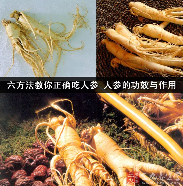 促進大腦對能量物質(zhì)的利用