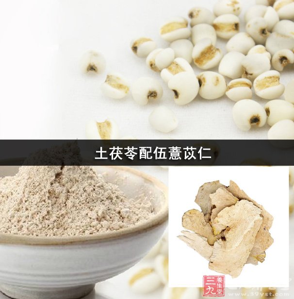 茯苓,续断,生薏苡,焦山楂,焦麦芽,盐车前,广藿香,黄柏,酒大黄,烫狗脊
