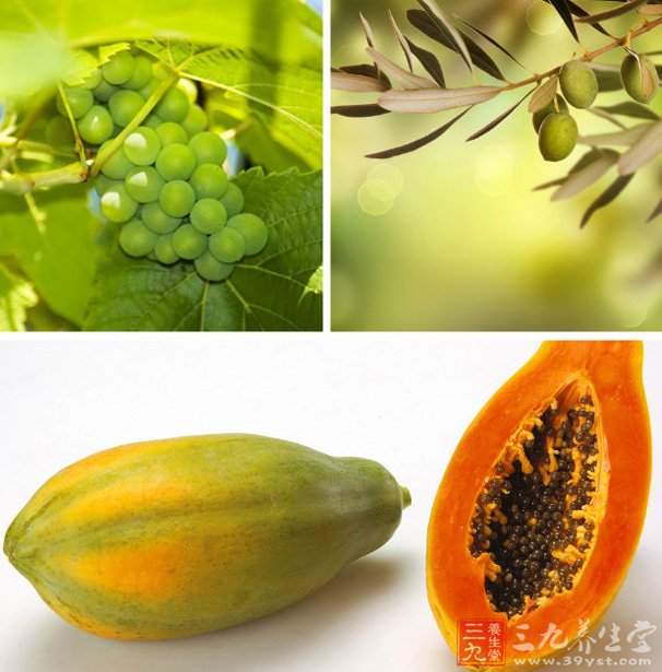 木瓜的营养成分主要有糖类