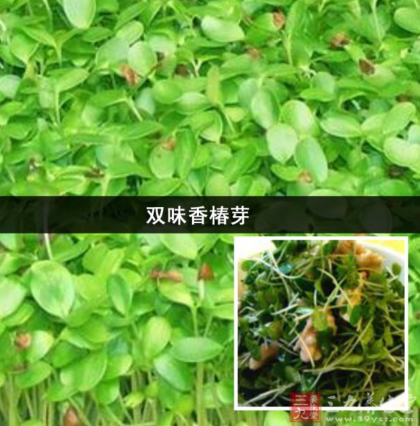 功效与作用      双味香椿芽,以香椿芽为代表,香椿芽,又叫香椿头,香椿