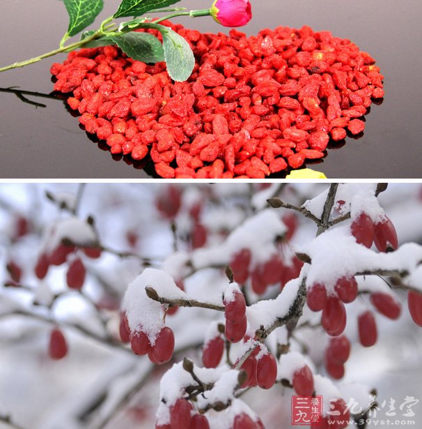 孕妇是可以吃枸杞的