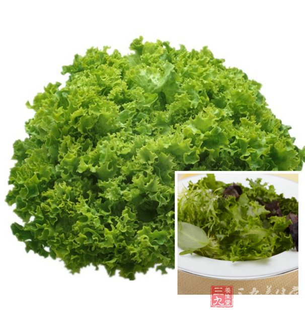 罗莎生菜 能够促进血液循环