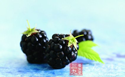 桑葚可滋阴补血