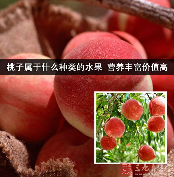 桃子属于什么种类的水果 营养丰富价值高