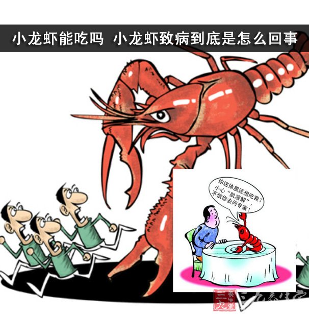 小龙虾能吃吗 小龙虾致病到底是怎么回事 - 三