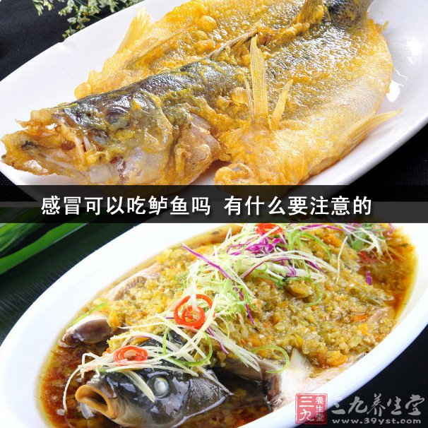 感冒可以吃鱸魚嗎