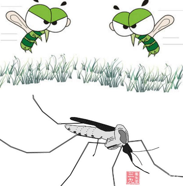 传言 一巴掌拍死蚊子可能会有致命危险(12)