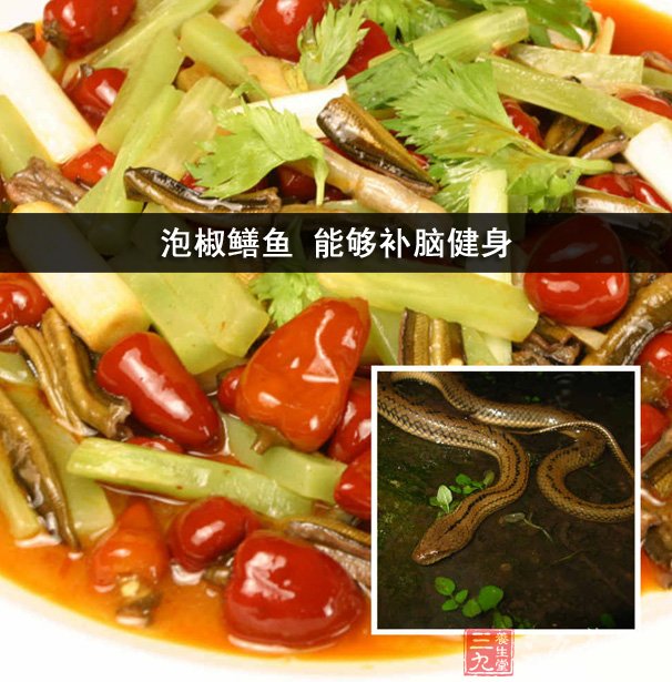 泡椒鱔魚 能夠補(bǔ)腦健身