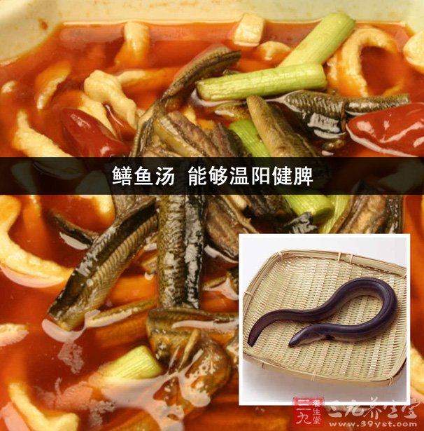 鱔魚(yú)湯 能夠溫陽(yáng)健脾