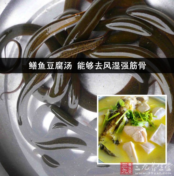 鱔魚豆腐湯 能夠去風(fēng)濕強筋骨