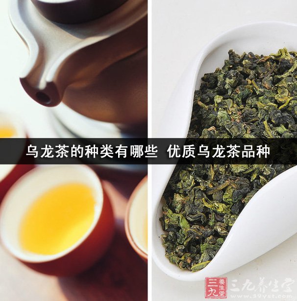 乌龙茶的种类有哪些 优质乌龙茶品种