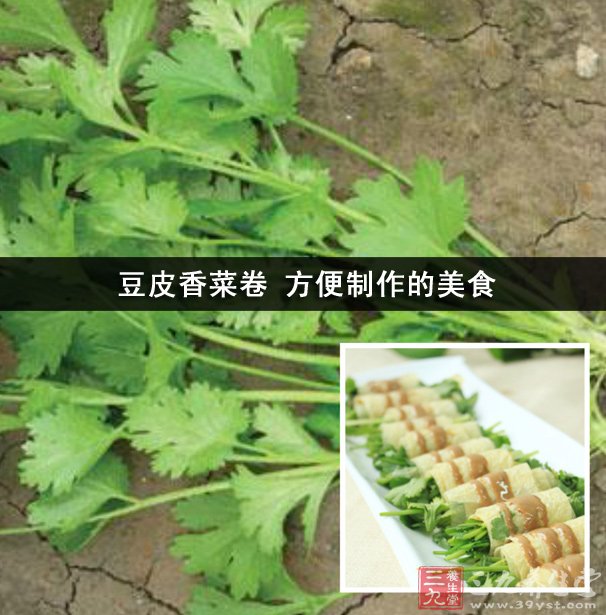 豆皮香菜卷