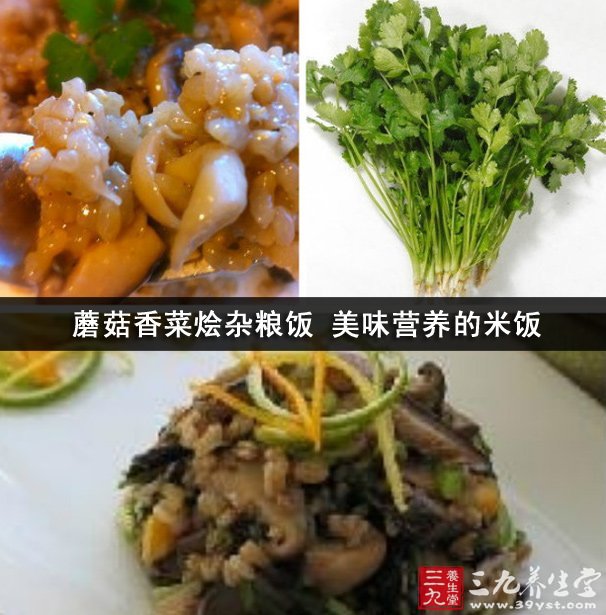 蘑菇香菜燴雜糧飯