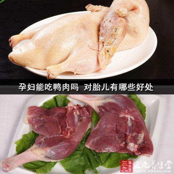 孕妇能吃鸭肉吗