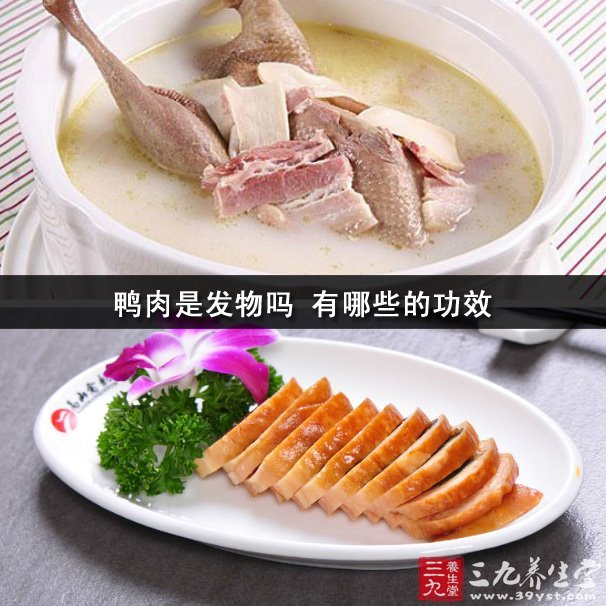 鴨肉是發(fā)物嗎