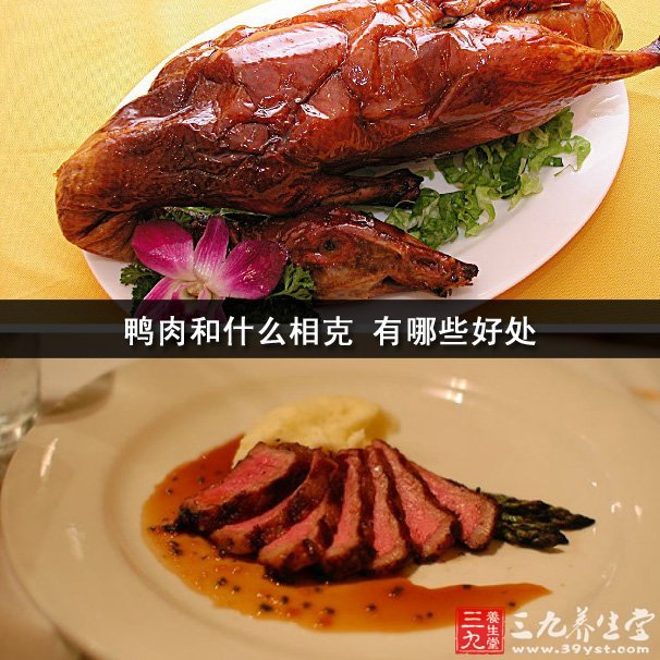 鸭肉和什么相克