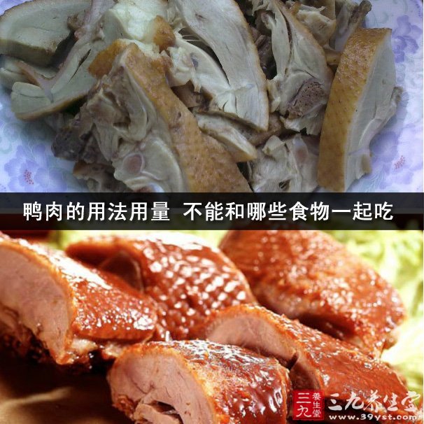 鸭肉的用法用量