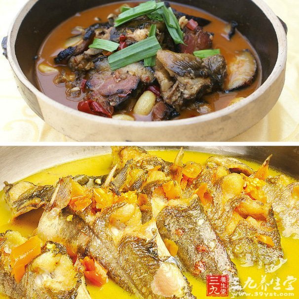 鯰魚