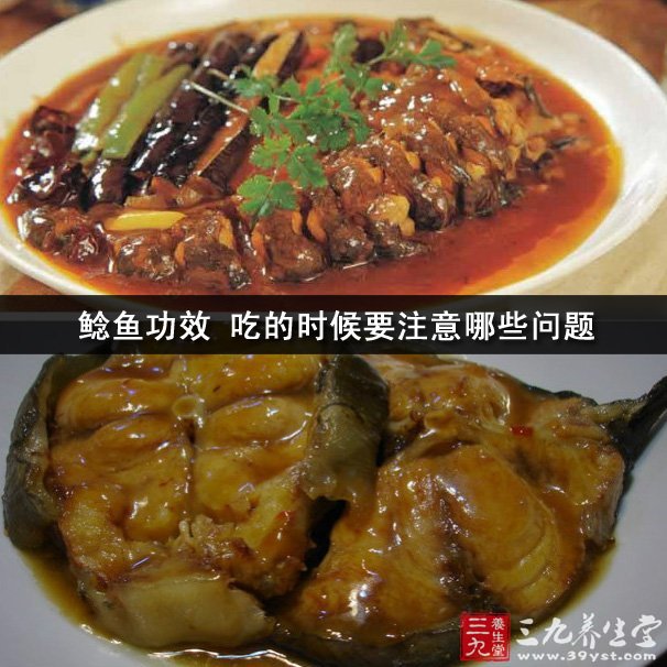 鯰魚的功效