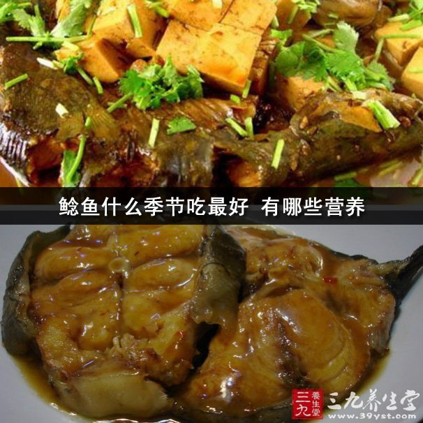 鯰魚什么季節(jié)吃好