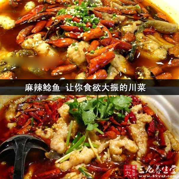 麻辣鯰魚