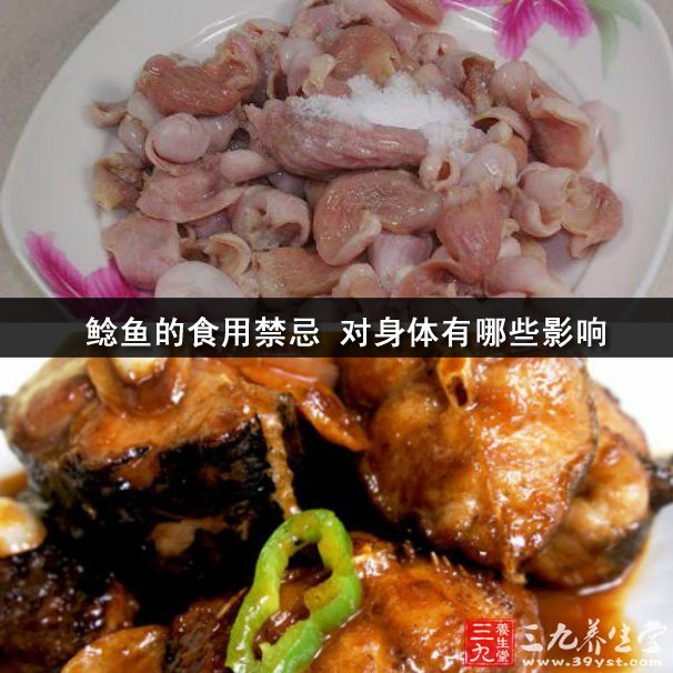 鯰魚的食用禁忌