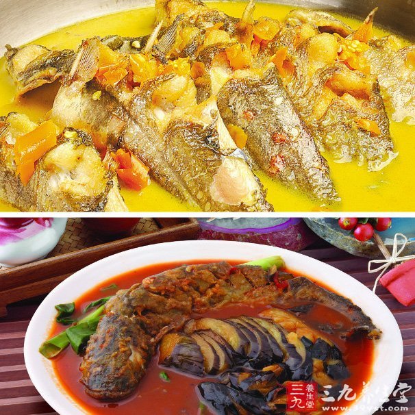 鯰魚