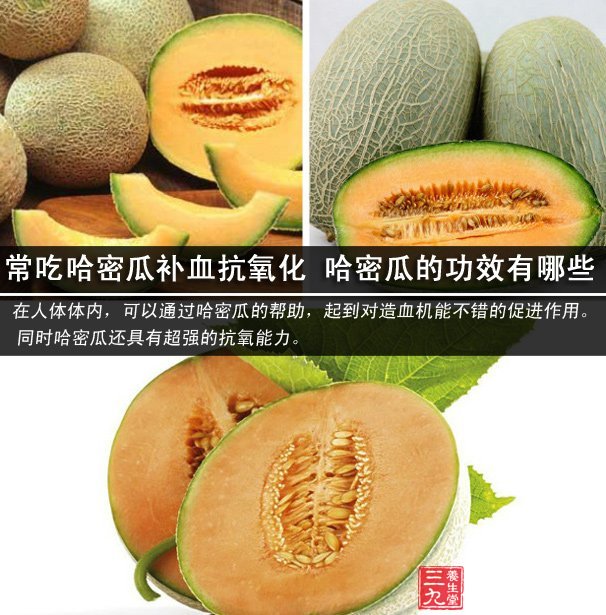 常吃哈密瓜补血抗氧化 哈密瓜的功效有哪些