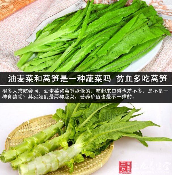 油麦菜和莴笋是一种蔬菜吗 贫血多吃莴笋