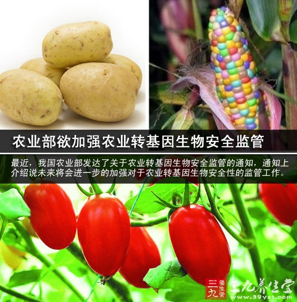 农业部欲加强农业转基因生物安全监管