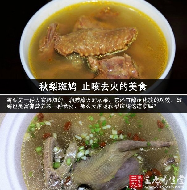 秋梨斑鳩 止咳去火的美食