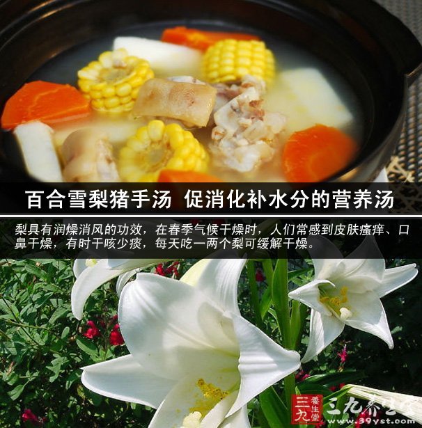 百合雪梨豬手湯 促消化補(bǔ)水分的營(yíng)養(yǎng)湯