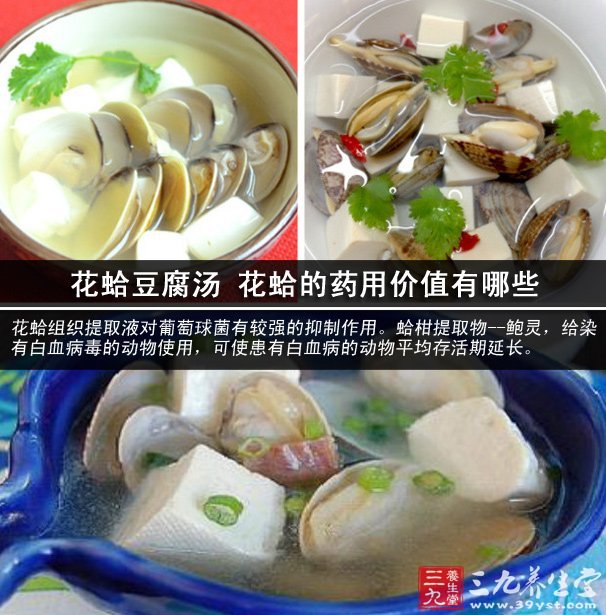 花蛤豆腐湯