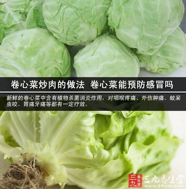 卷心菜炒肉的做法 卷心菜能預(yù)防感冒嗎