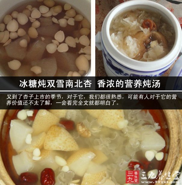 冰糖燉雙雪南北杏 香濃的營養(yǎng)燉湯