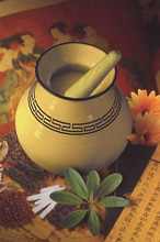 中国医学通史 - 中医书籍