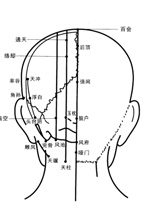 头部背面穴位图 - 三九养生堂